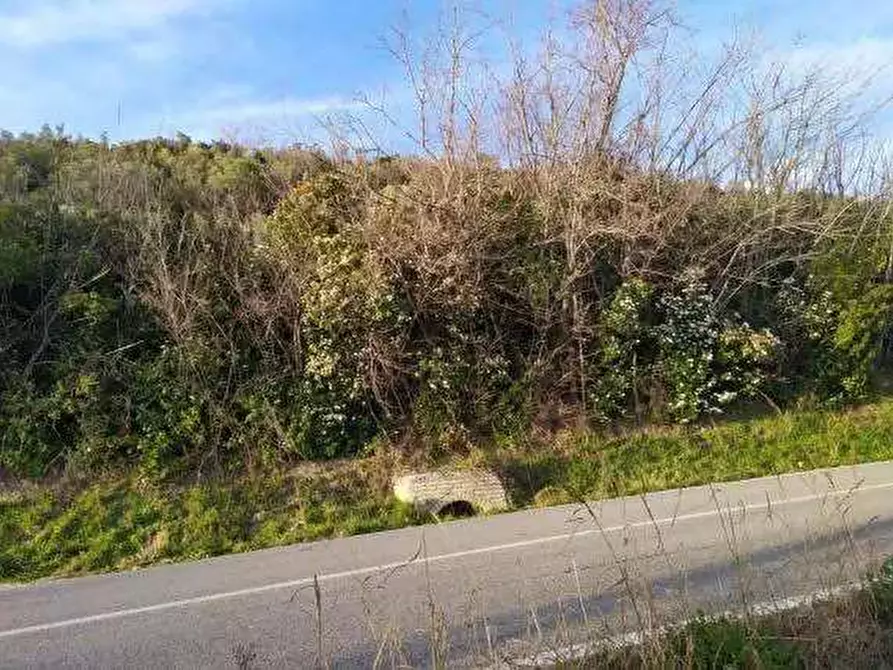 Immagine 7 di Terreno agricolo in vendita  in Contrada San Girolamo a Fermo