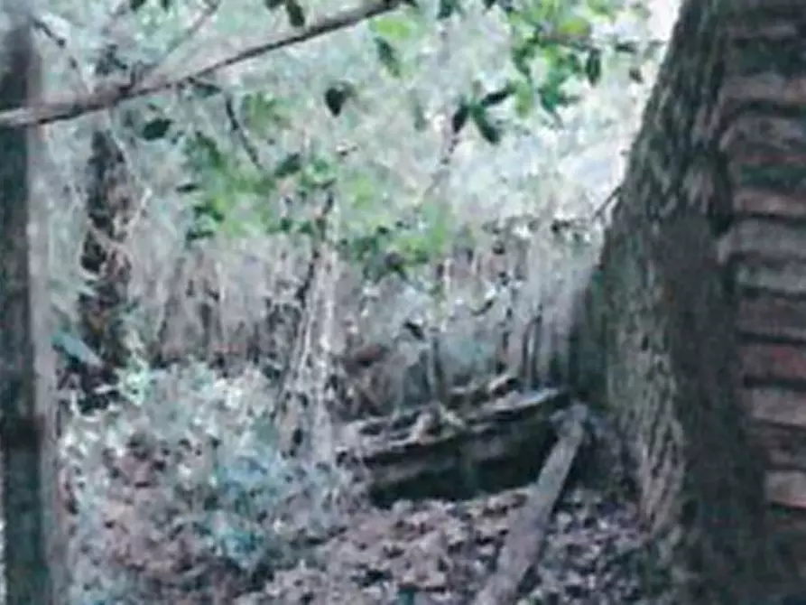 Immagine 26 di Villa in vendita  in Via di Cambiano Alto a Castelfiorentino