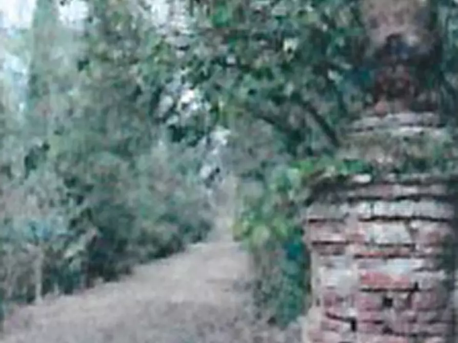 Immagine 27 di Villa in vendita  in Via di Cambiano Alto a Castelfiorentino