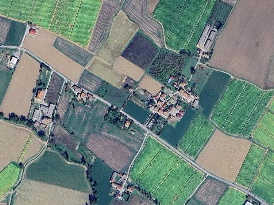 Immagine 2 di Terreno agricolo in vendita  in Vocabolo Quartiere a Citerna