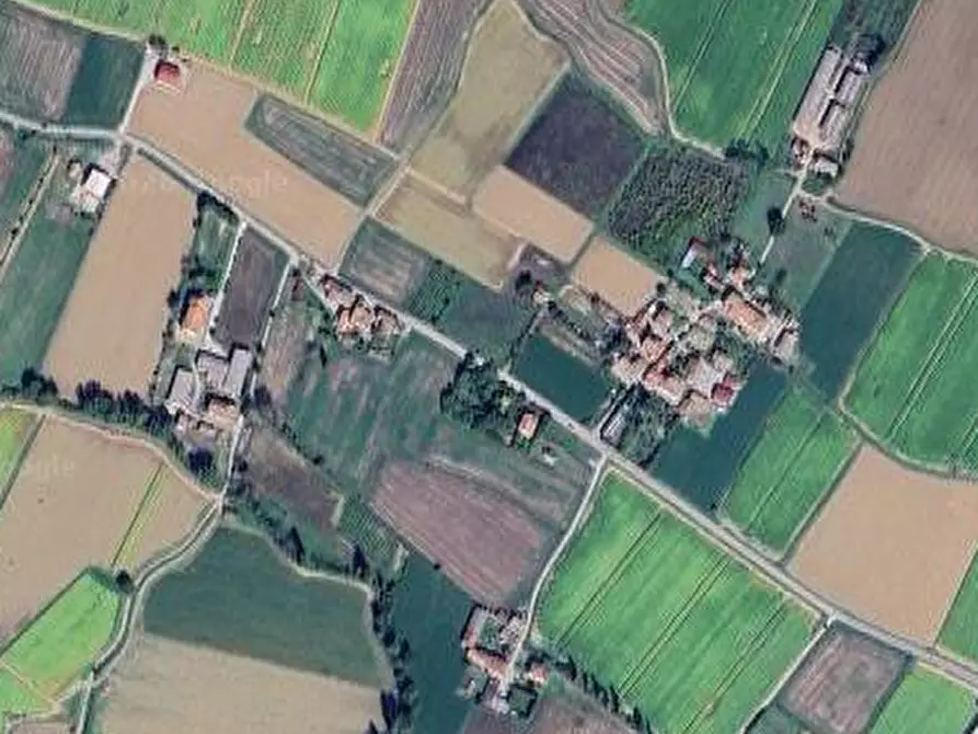 Immagine 3 di Terreno agricolo in vendita  in Vocabolo Quartiere a Citerna