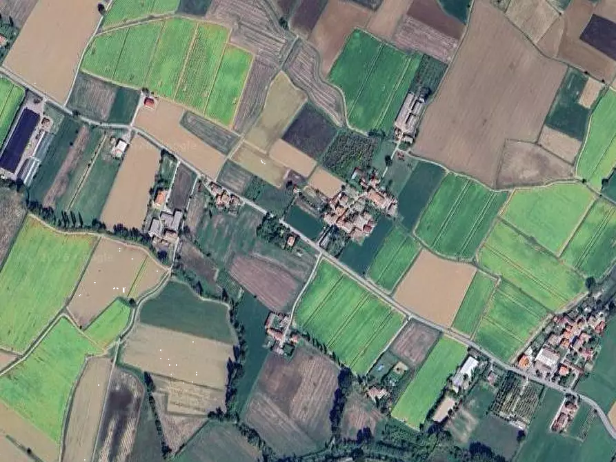 Immagine 4 di Terreno agricolo in vendita  in Vocabolo Quartiere a Citerna