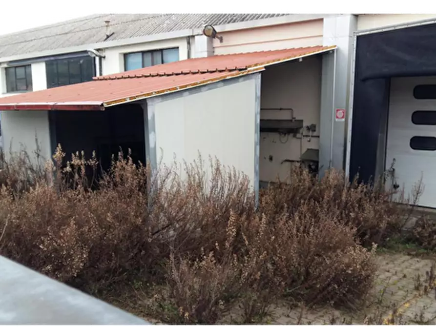 Immagine 3 di Negozio in vendita  in via Parri a Castelfiorentino