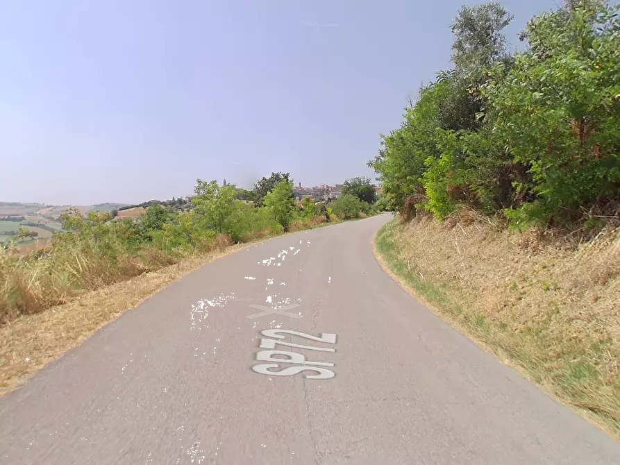 Immagine 4 di Terreno edificabile in vendita  in Strada Provinciale a Monte San Pietrangeli