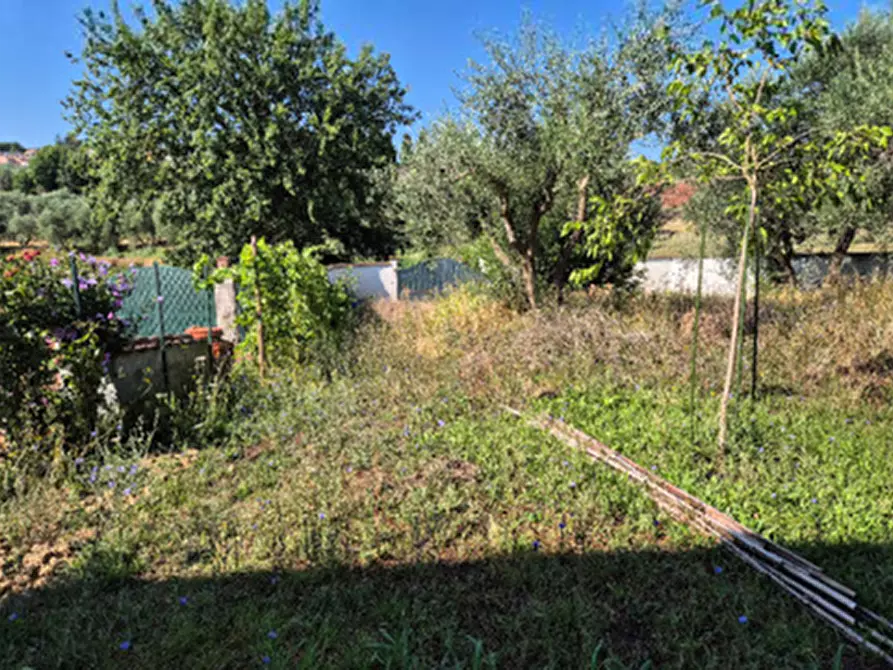 Immagine 5 di Casa indipendente in vendita  in Via di Citerna a Signa