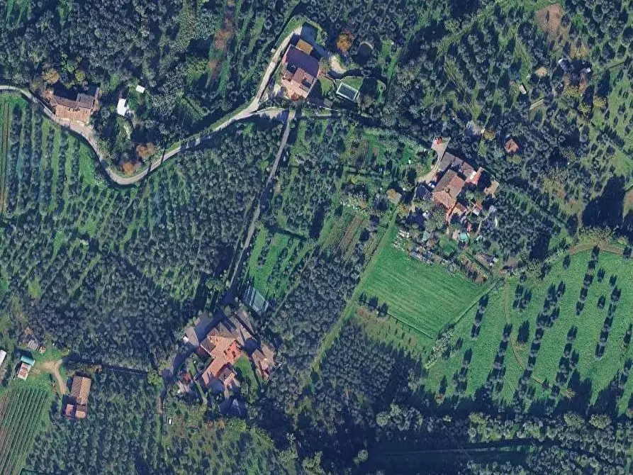 Immagine 2 di Terreno agricolo in vendita  in via della Caduta a Scandicci