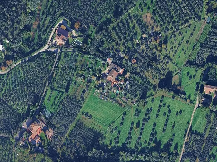 Immagine 3 di Terreno agricolo in vendita  in via della Caduta a Scandicci