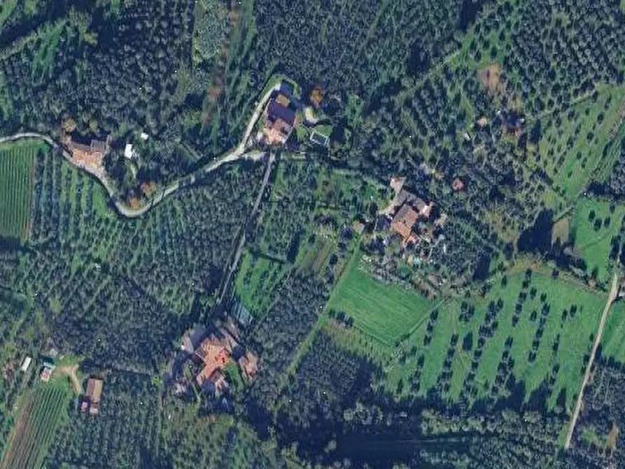 Immagine 4 di Terreno agricolo in vendita  in via della Caduta a Scandicci