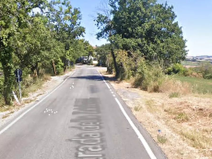 Immagine 5 di Magazzino in vendita  in Strada Croce Babucce a Tavullia