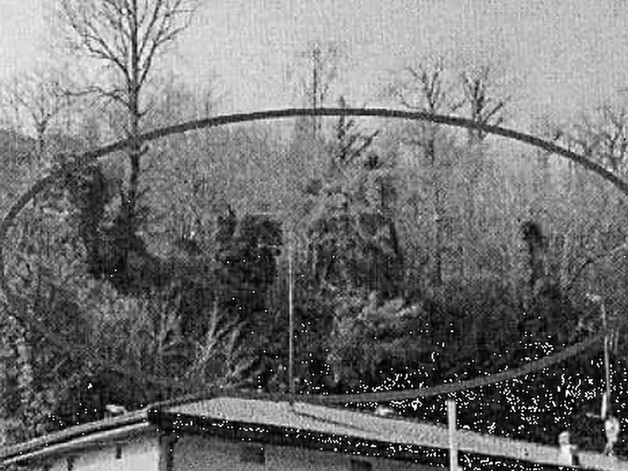 Immagine 2 di Terreno agricolo in vendita  in località Foresto Sparso a Foresto Sparso