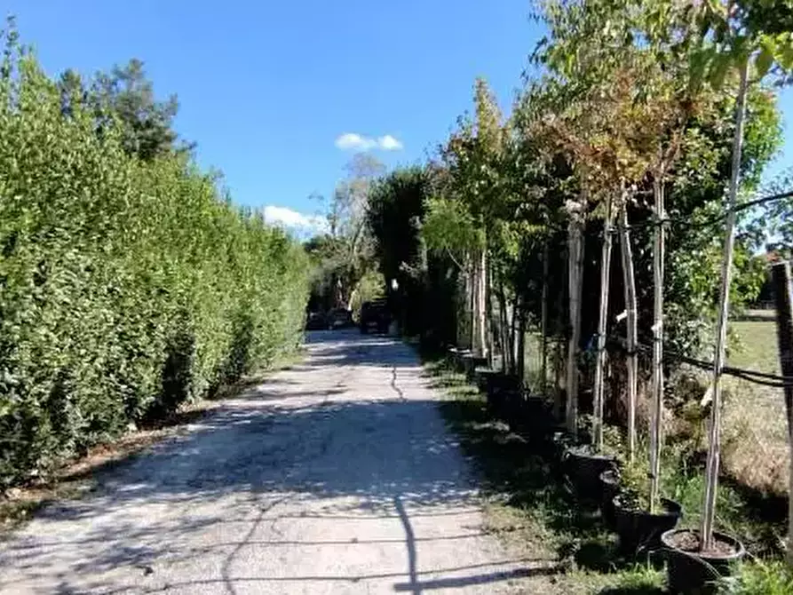 Immagine 3 di Capannone industriale in vendita  in Via Vallato a Colli Al Metauro