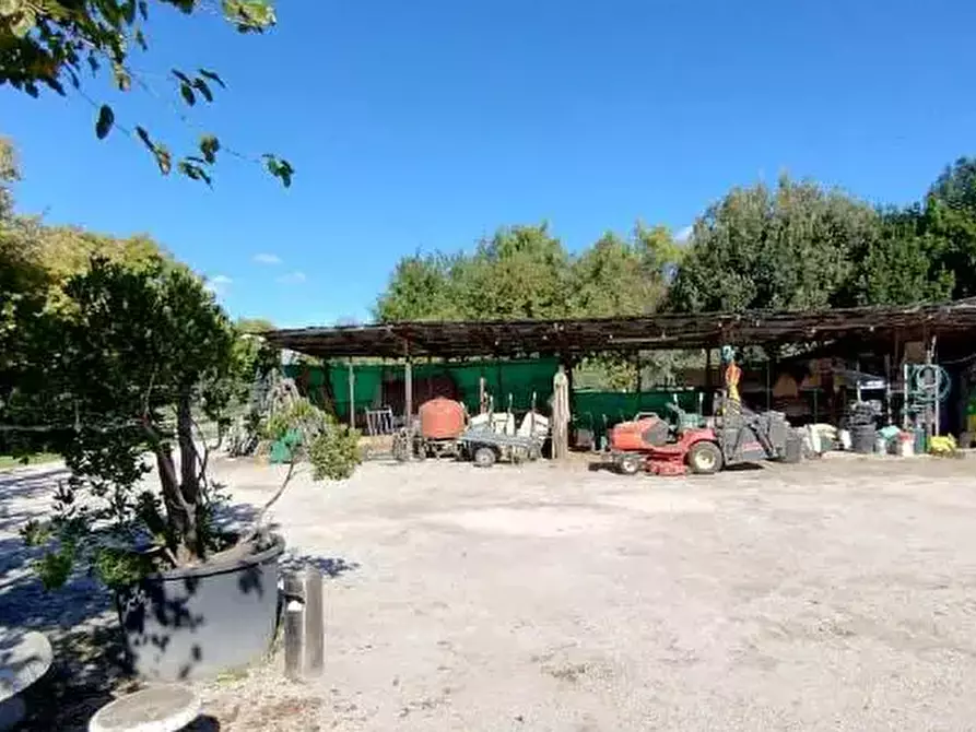 Immagine 10 di Capannone industriale in vendita  in Via Vallato a Colli Al Metauro