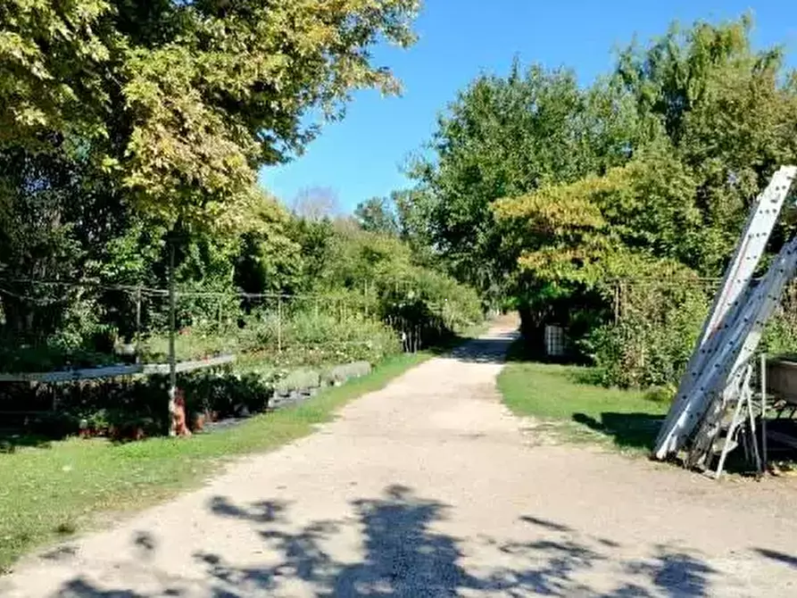Immagine 11 di Capannone industriale in vendita  in Via Vallato a Colli Al Metauro