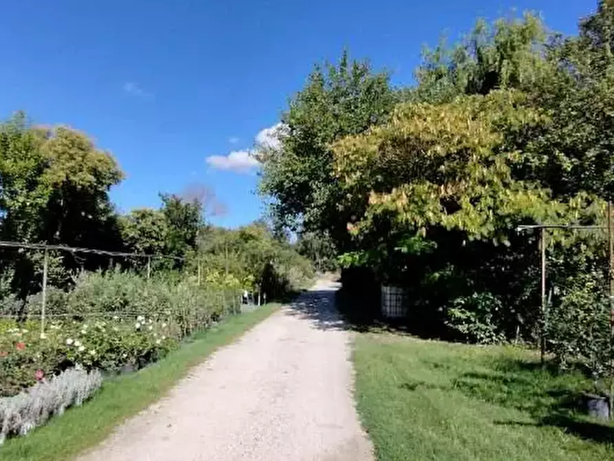 Immagine 13 di Capannone industriale in vendita  in Via Vallato a Colli Al Metauro