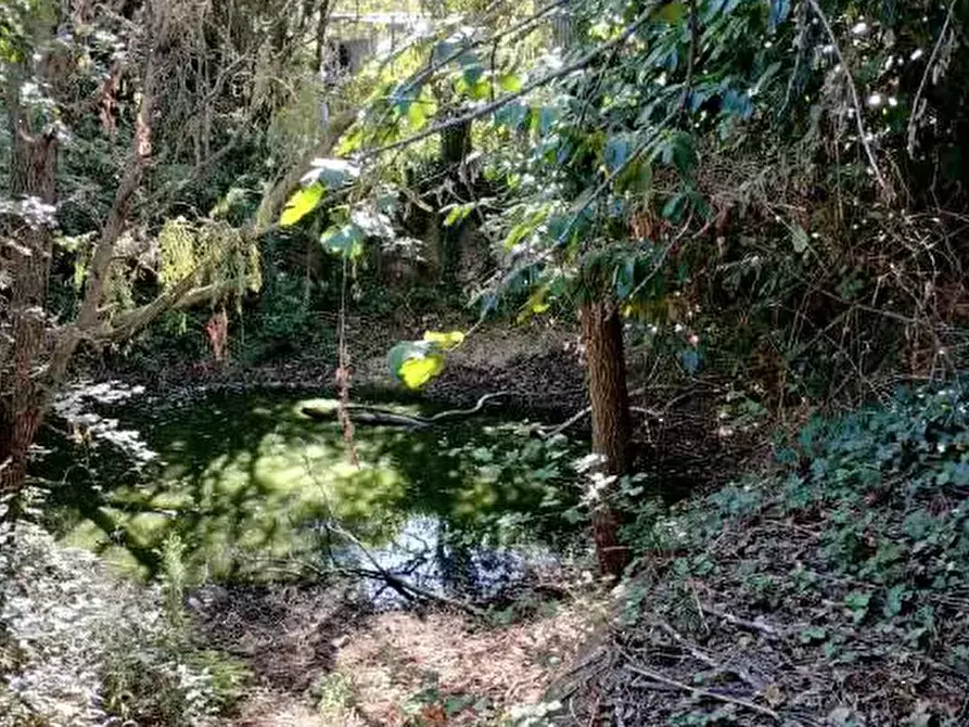 Immagine 14 di Capannone industriale in vendita  in Via Vallato a Colli Al Metauro