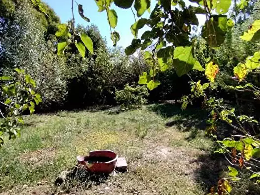Immagine 17 di Capannone industriale in vendita  in Via Vallato a Colli Al Metauro