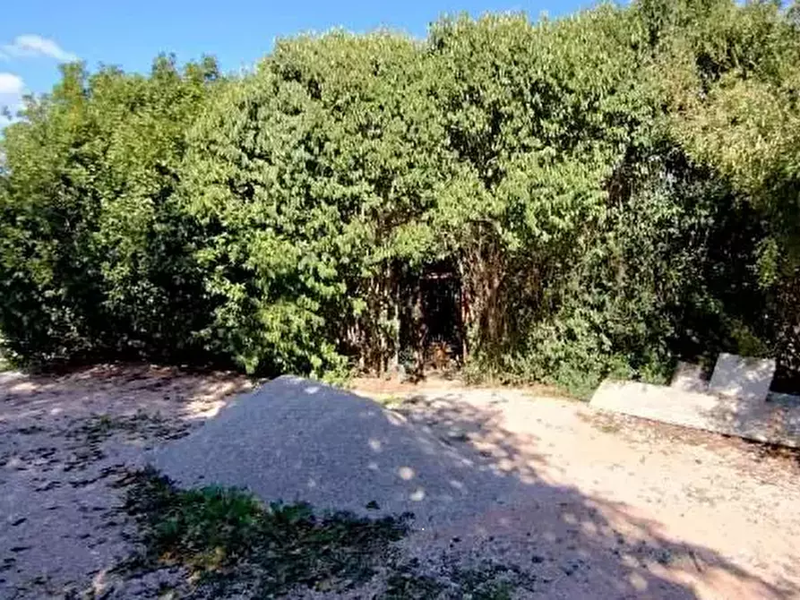 Immagine 21 di Capannone industriale in vendita  in Via Vallato a Colli Al Metauro