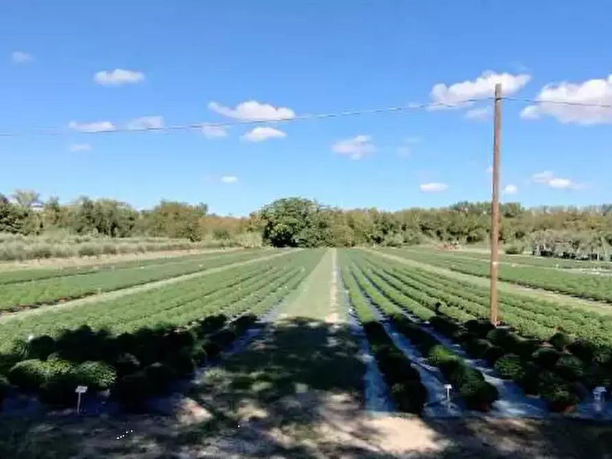 Immagine 25 di Capannone industriale in vendita  in Via Vallato a Colli Al Metauro