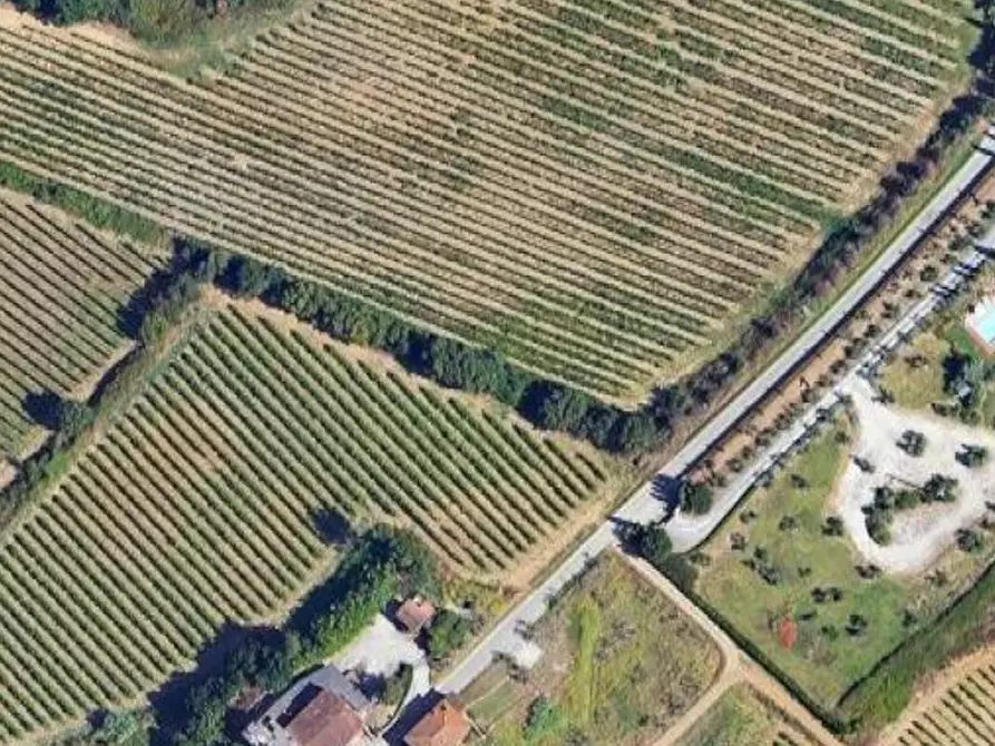 Immagine 6 di Terreno agricolo in vendita  in Via di Collegonzi a Vinci