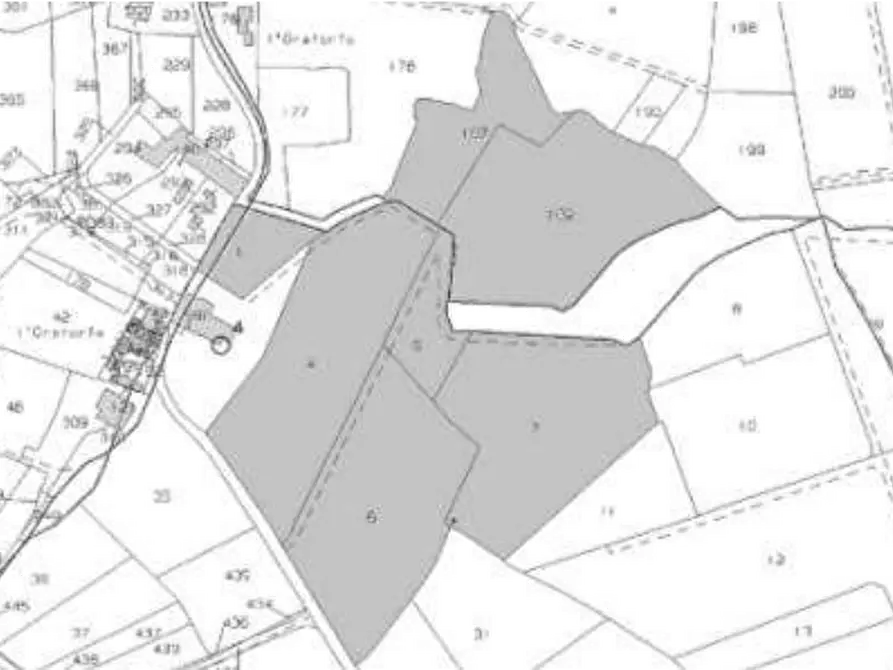 Immagine 8 di Terreno agricolo in vendita  in Via di Collegonzi a Vinci