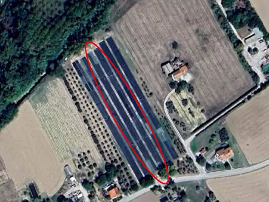 Immagine 1 di Terreno agricolo in vendita  in Via Vallato a Colli Al Metauro