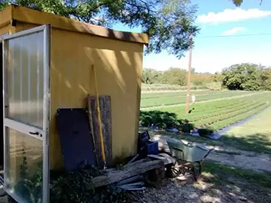 Immagine 5 di Terreno agricolo in vendita  in Via Vallato a Colli Al Metauro