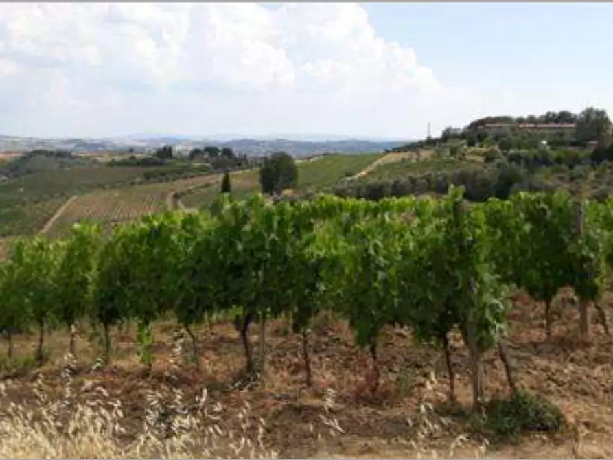 Immagine 1 di Terreno agricolo in vendita  in Via di Collegonzi a Vinci