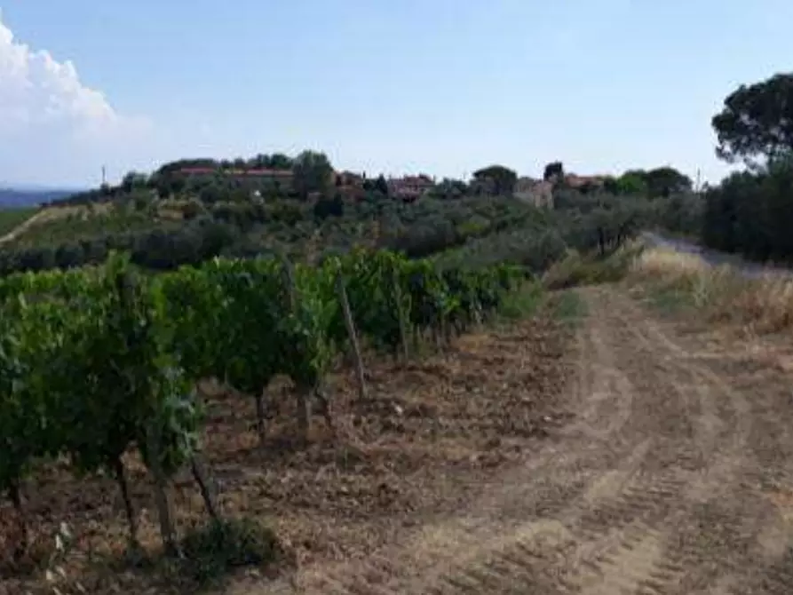 Immagine 3 di Terreno agricolo in vendita  in Via di Collegonzi a Vinci