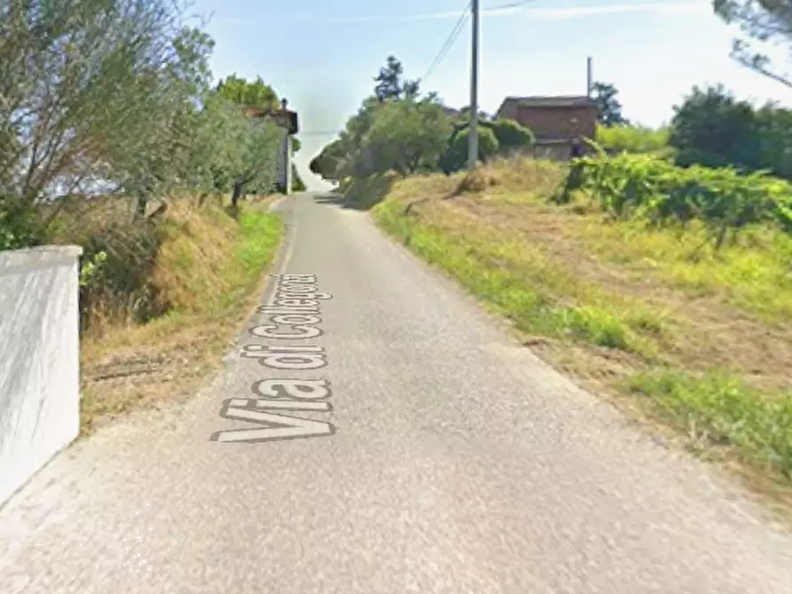 Immagine 4 di Terreno agricolo in vendita  in Via di Collegonzi a Vinci
