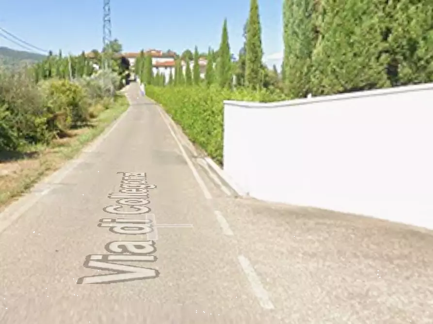 Immagine 5 di Terreno agricolo in vendita  in Via di Collegonzi a Vinci