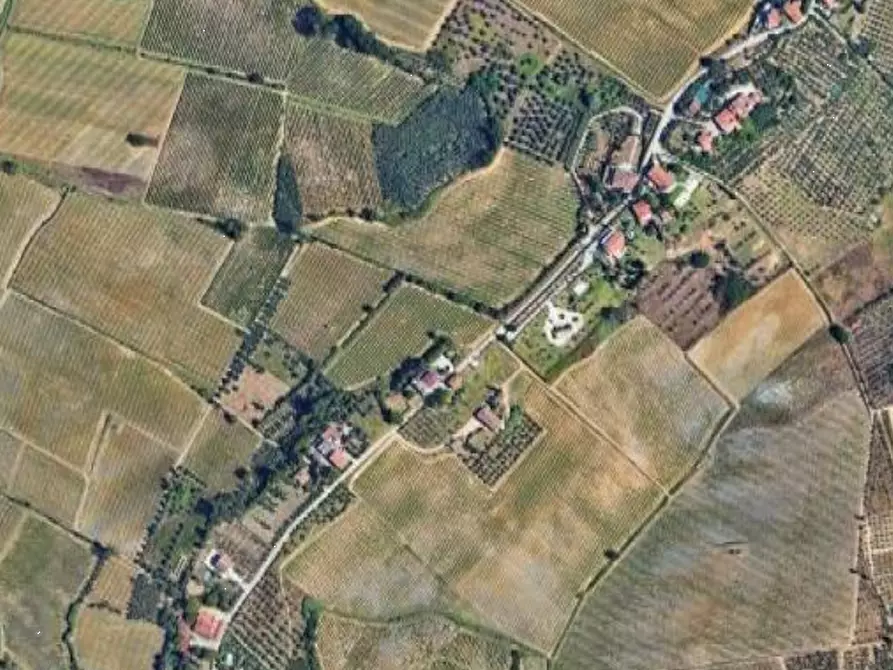 Immagine 6 di Terreno agricolo in vendita  in Via di Collegonzi a Vinci