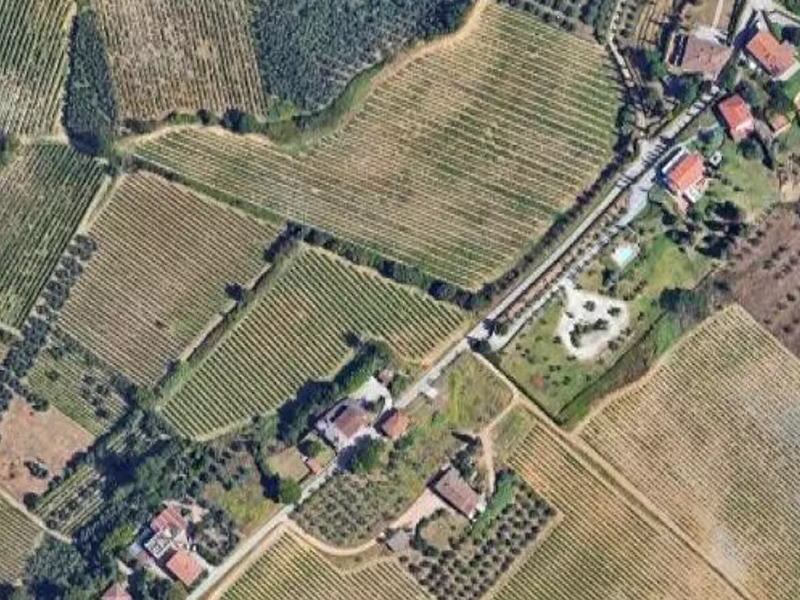 Immagine 8 di Terreno agricolo in vendita  in Via di Collegonzi a Vinci