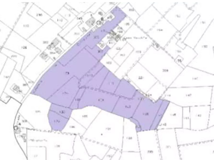 Immagine 9 di Terreno agricolo in vendita  in Via di Collegonzi a Vinci