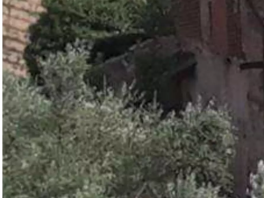 Immagine 2 di Magazzino in vendita  in Via di Collegonzi a Vinci