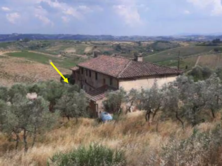 Immagine 4 di Magazzino in vendita  in Via di Collegonzi a Vinci