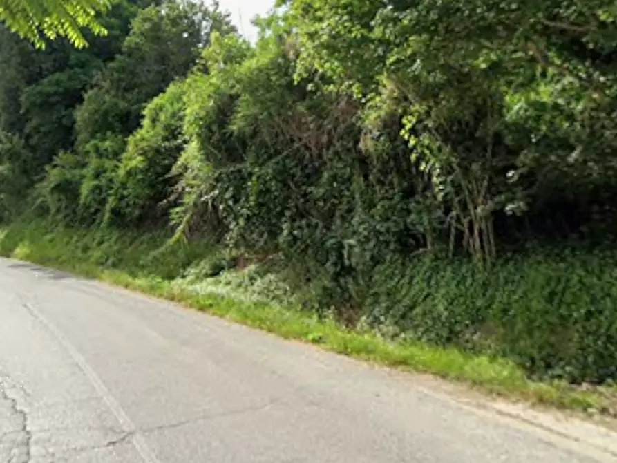 Immagine 4 di Terreno agricolo in vendita  in Via Zona Parco Galeano a Petritoli