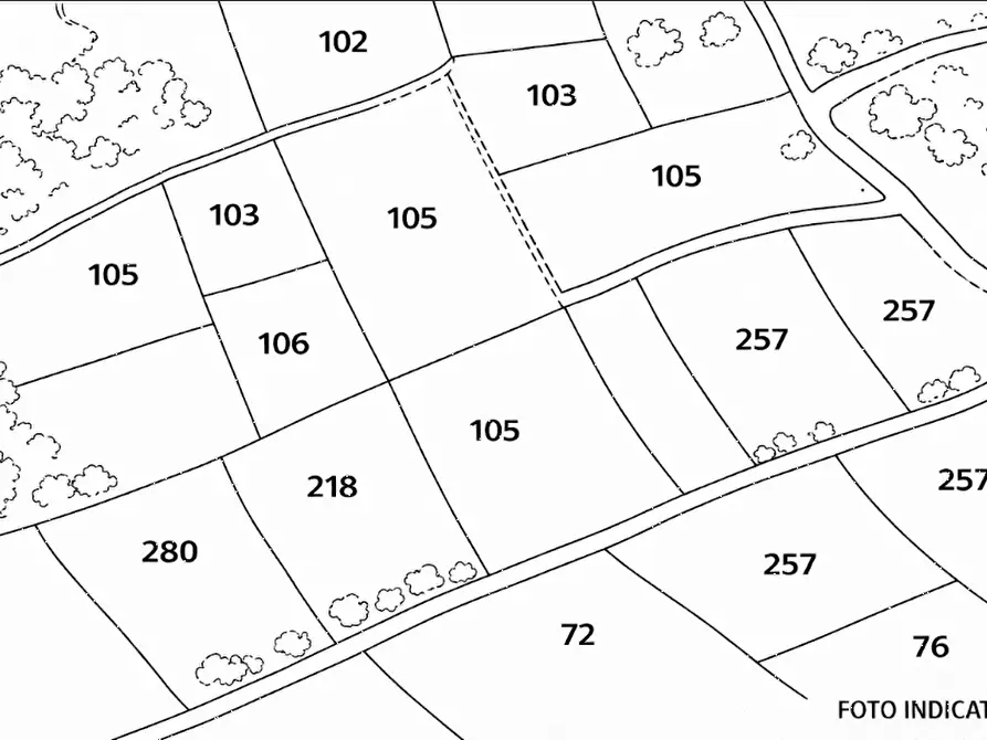 Immagine 8 di Terreno agricolo in vendita  in Via Zona Parco Galeano a Petritoli