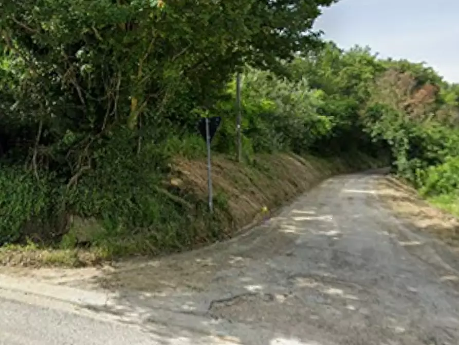 Immagine 3 di Terreno agricolo in vendita  in Via Zona Parco Galeano a Petritoli