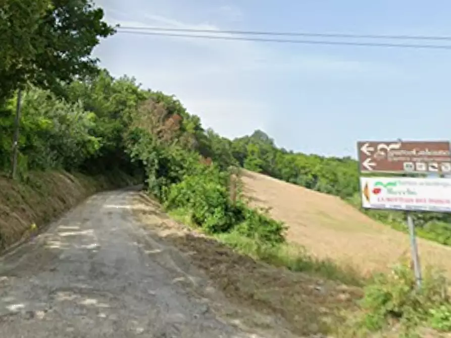 Immagine 3 di Terreno agricolo in vendita  in Via Zona Parco Galeano a Petritoli