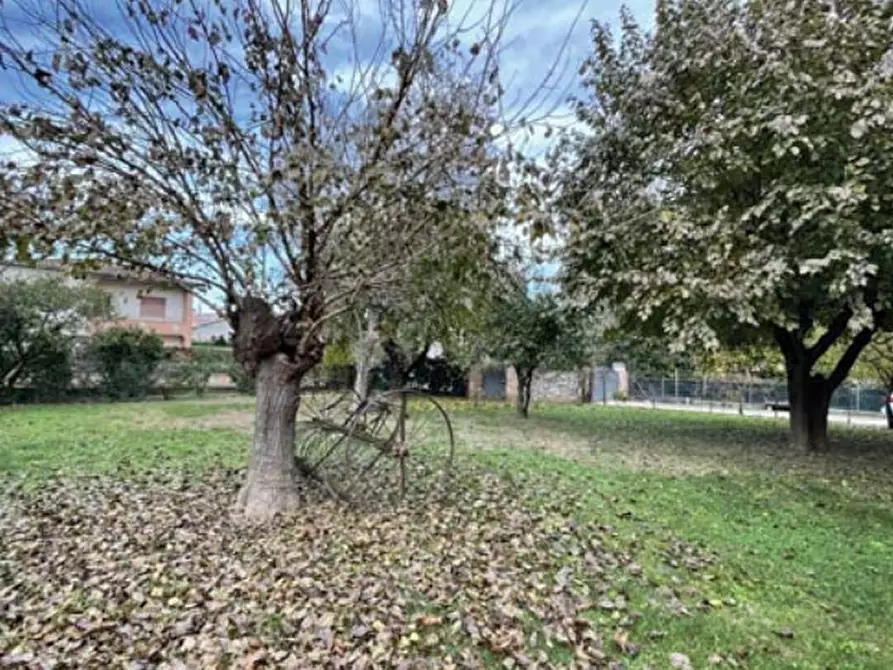 Immagine 4 di Villa in vendita  in Via Ungheresca a Santa Lucia Di Piave