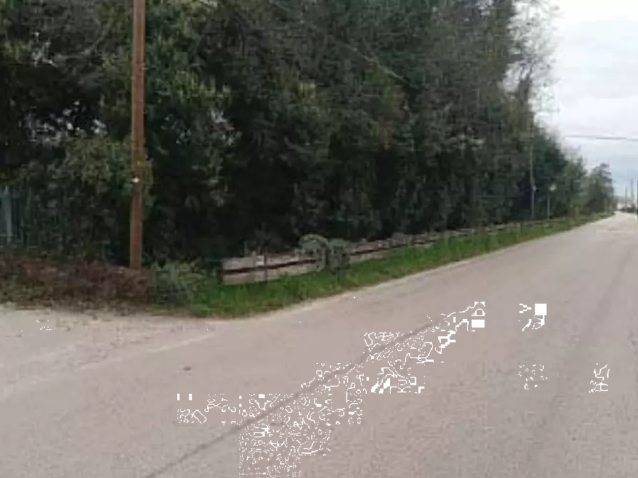 Immagine 6 di Laboratorio in vendita  in Via Solagna a Trevignano