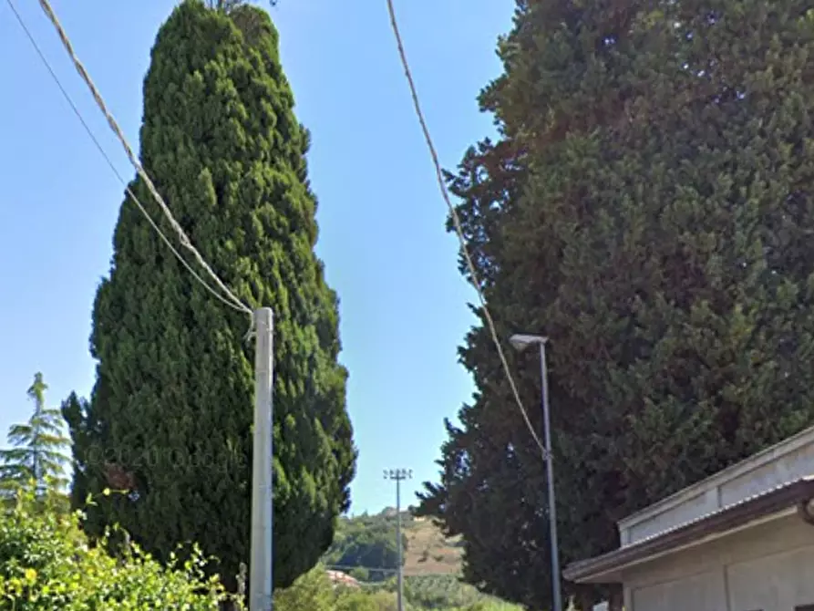 Immagine 3 di Negozio in vendita  in Via Zittola  a Chieti