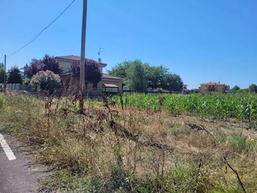 Immagine 1 di Terreno edificabile in vendita  in via Murri a Molinella