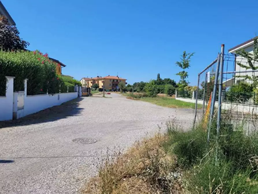 Immagine 3 di Terreno edificabile in vendita  in via Murri a Molinella