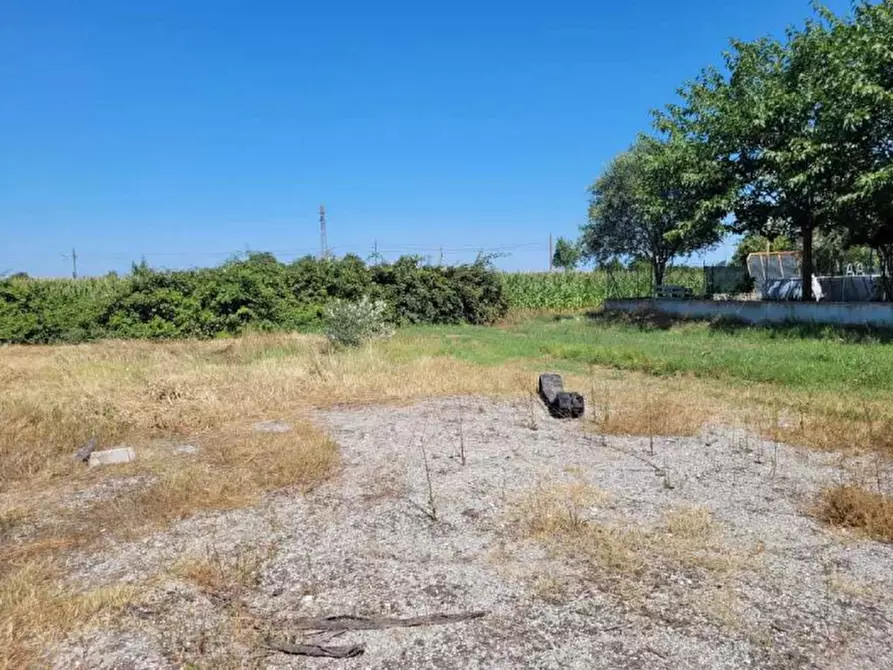 Immagine 5 di Terreno edificabile in vendita  in via Murri a Molinella