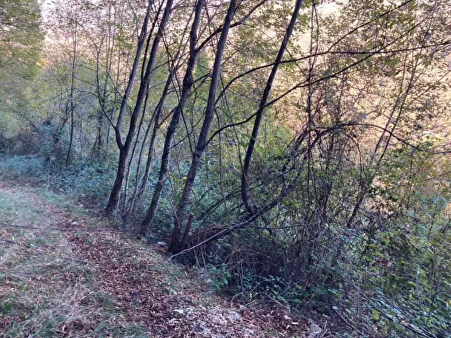 Immagine 2 di Terreno agricolo in vendita  in Via San Valentino a Segusino
