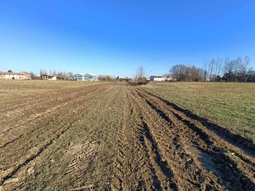 Immagine 2 di Terreno agricolo in vendita  in Via Zecchina a Quinto Di Treviso