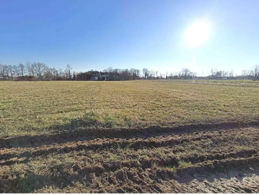 Immagine 3 di Terreno agricolo in vendita  in Via Zecchina a Quinto Di Treviso