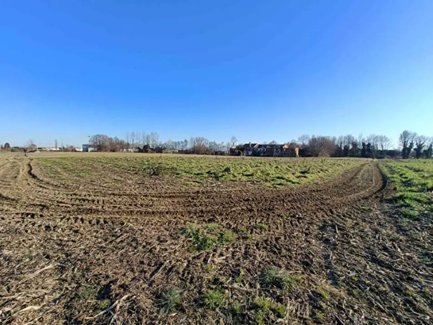Immagine 4 di Terreno agricolo in vendita  in Via Zecchina a Quinto Di Treviso