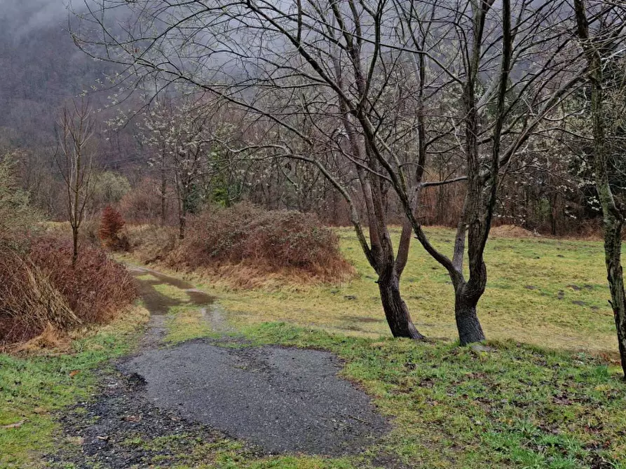 Immagine 3 di Terreno edificabile in vendita  a Valganna